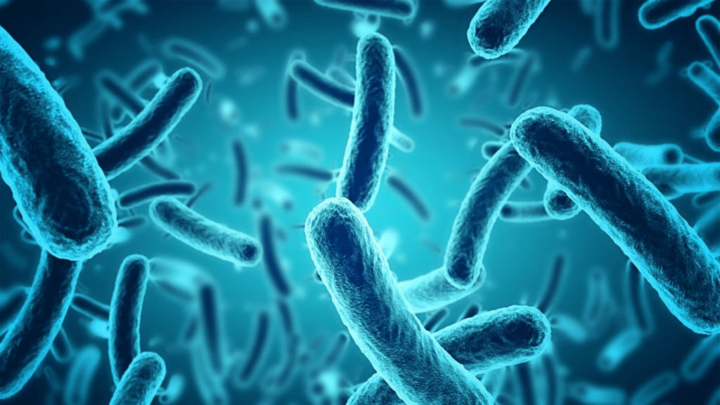 Antibiotic-resistant infections could be a ‘hidden pandemic,’